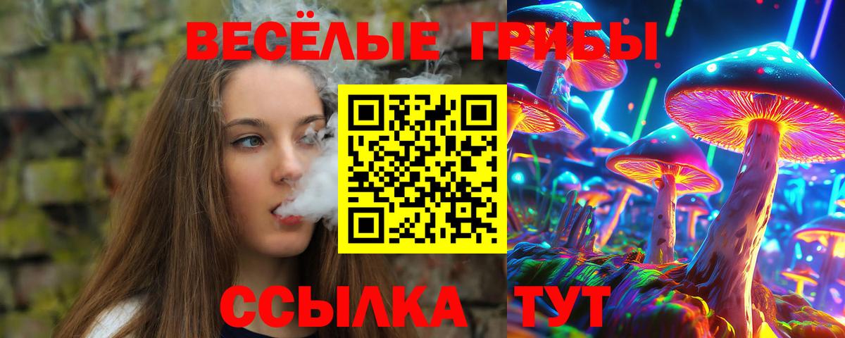 Галлюциногенные грибы мухоморы  Вход с VPN  Саров 